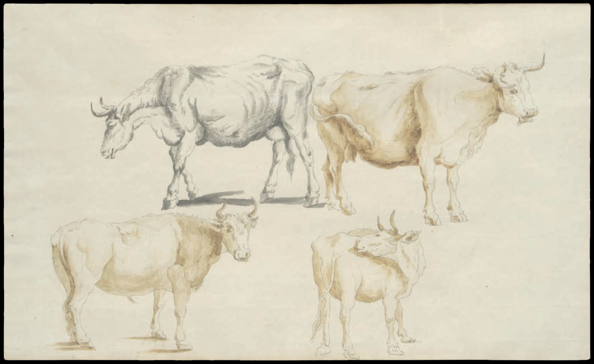 Dessin d’Italie de Jean-Baptiste TIERCE (Rouen 1737 – Florence 1794). Collection du Marquis de Sade Quatre études bovines
